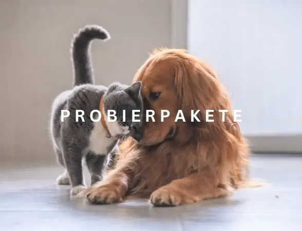 Probierpakete_FS