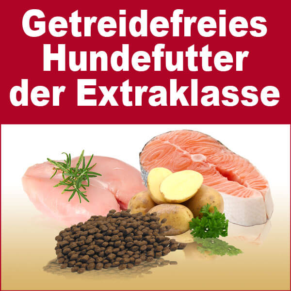 Sparpaket Hundefutter. Getreidefreies Hunde Trockenfutter. 20kg Sparpaket. Mit 10kg Geflügel & Kartoffel und 10kg 3er Mix Gold Edition Plus 15 (Hirsch, Lachs und Geflügel mit der bekömmlichen Kartoffel) SUPER SPARPAKET