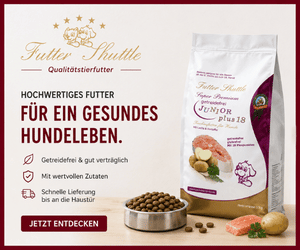 Futter Shuttle Werbebanner 300 x 250 Pixel