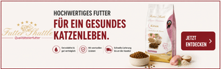 Futter Shuttle Werbebanner 320 x 100 Pixel Katze