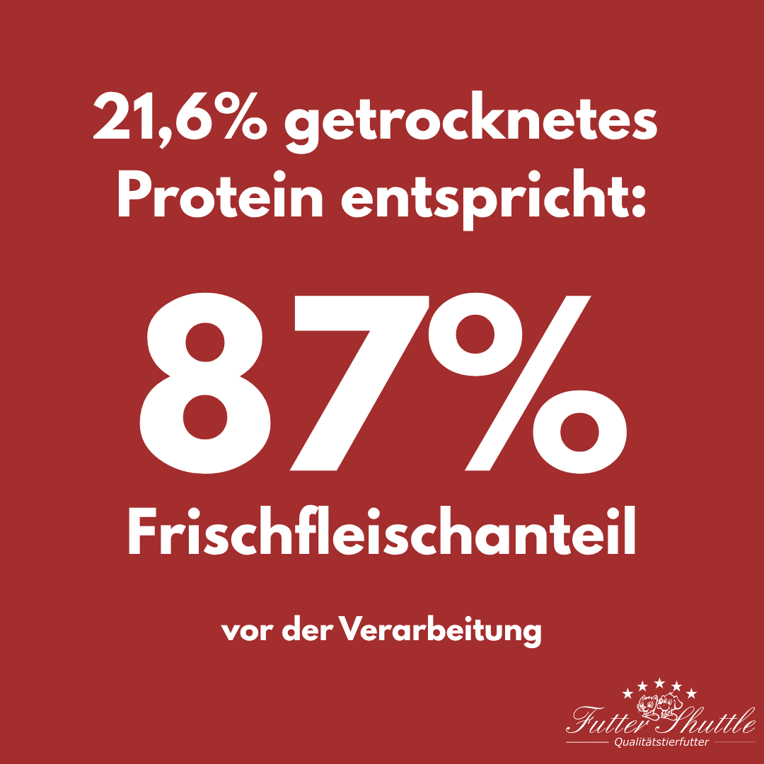 Getreidefreies Katzenfutter Trockenfutter Plus 10 – Lamm & Fisch | Super Premium Alleinfutter