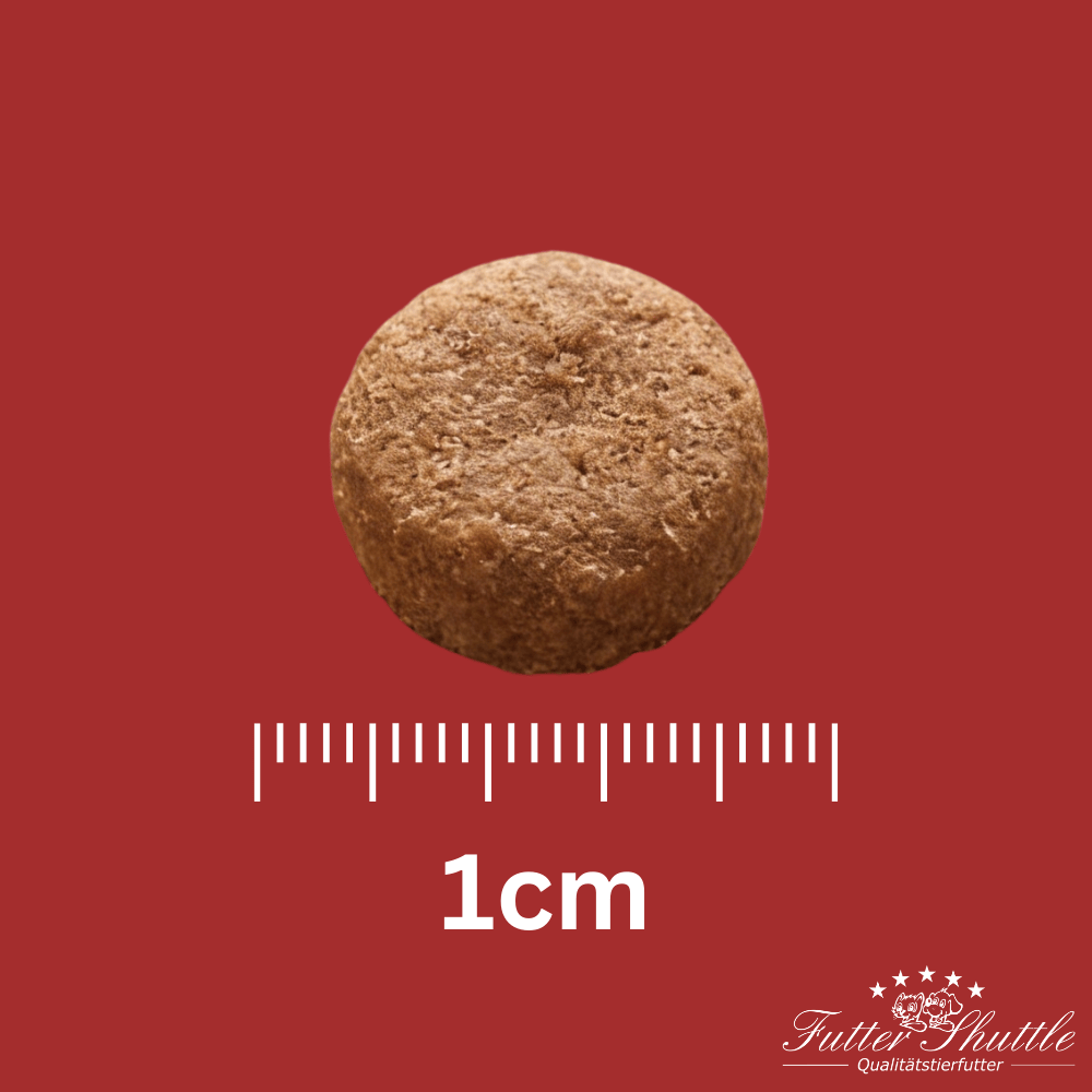 Hypoallergenes Insekten Hundefutter Plus 20 – Getreidefrei 5 kg