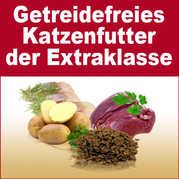 Sparpaket Getreidefreies Katzenfutter Trockenfutter in Spitzenqualität. Mit 3kg getreidefreiem Super Premium Katzenfutter Trockenfutter Plus 9 und 3kg Katzentrockenfutter Plus 10 der höchsten Güte als Sparpaket