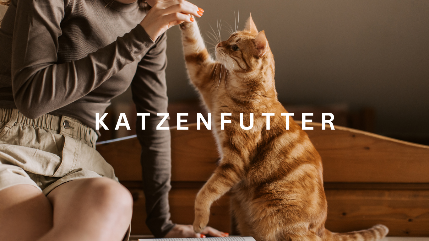 Katzenfutter